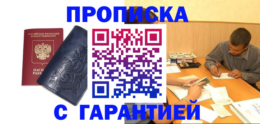 прописка поиск в Нововоронеже
